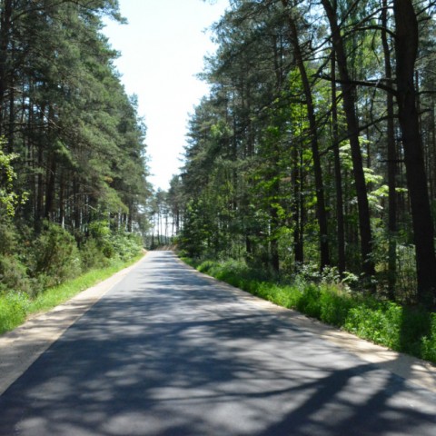 Powiększ obraz: 