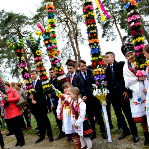 Powiększ obraz: 