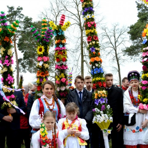 Powiększ obraz: 