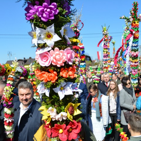 Powiększ obraz: 