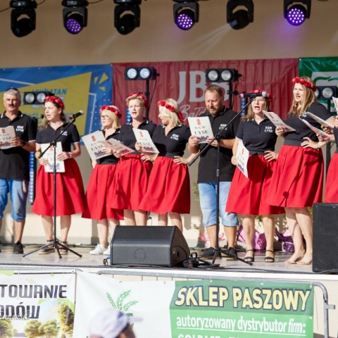 Powiększ obraz: 