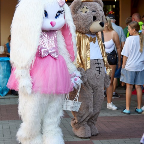 Powiększ obraz: 