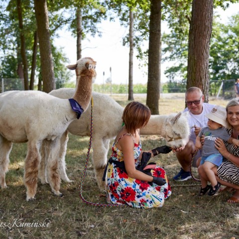 Powiększ obraz: 