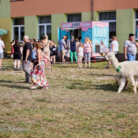 Powiększ obraz: 