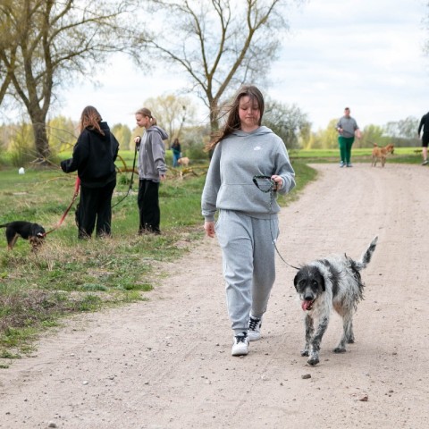 Powiększ obraz: 