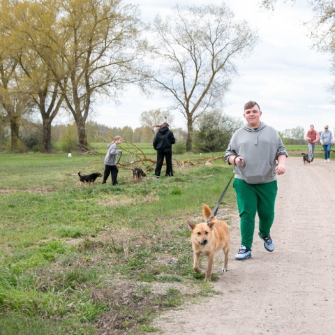 Powiększ obraz: 