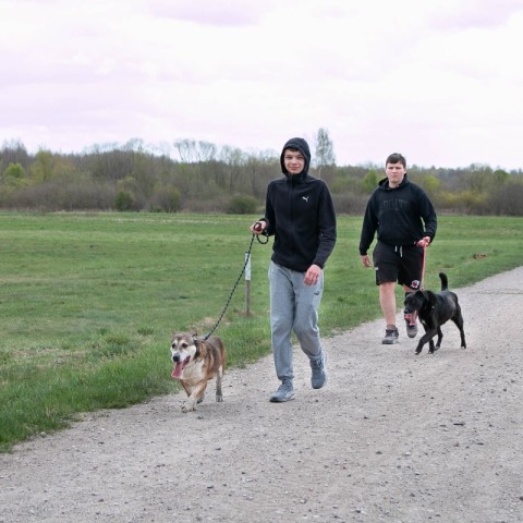 Powiększ obraz: 