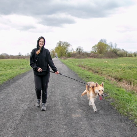 Powiększ obraz: 