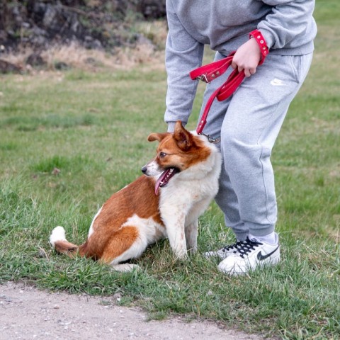 Powiększ obraz: 