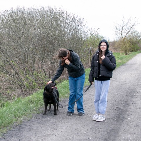 Powiększ obraz: 