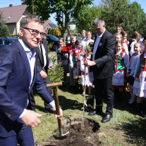 Powiększ obraz: 
