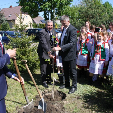 Powiększ obraz: 