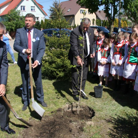 Powiększ obraz: 