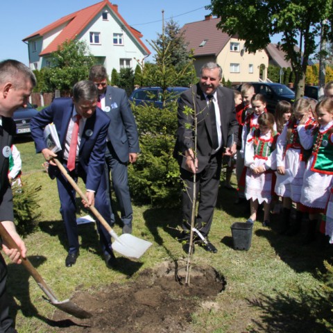 Powiększ obraz: 