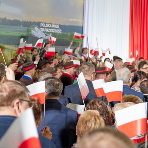 Powiększ obraz: 