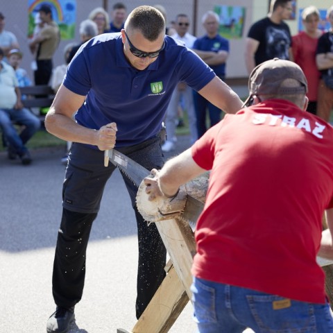 Powiększ obraz: 