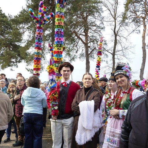 Powiększ obraz: 