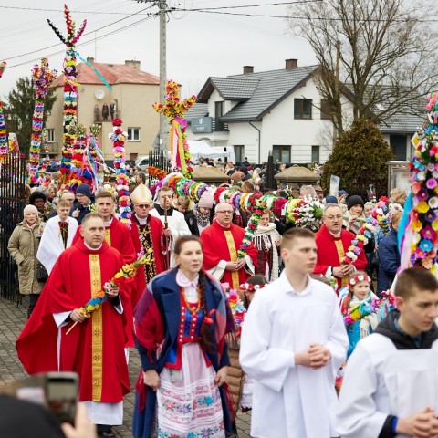 Powiększ obraz: 