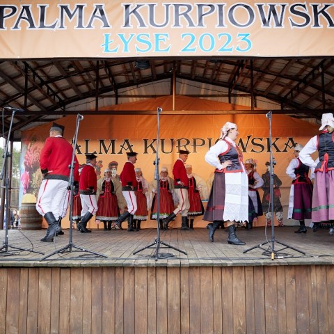 Powiększ obraz: 