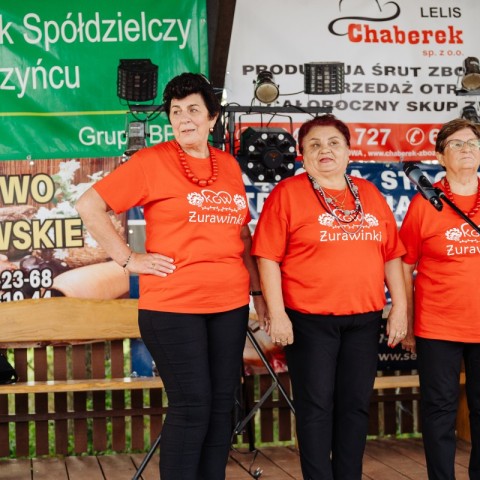 Powiększ obraz: 