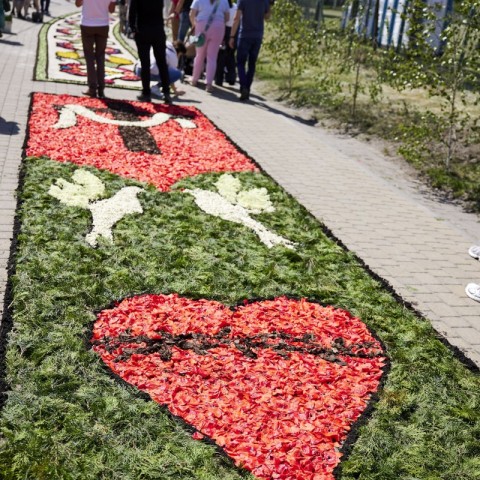 Powiększ obraz: 