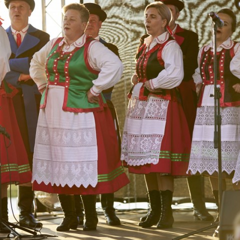 Powiększ obraz: 