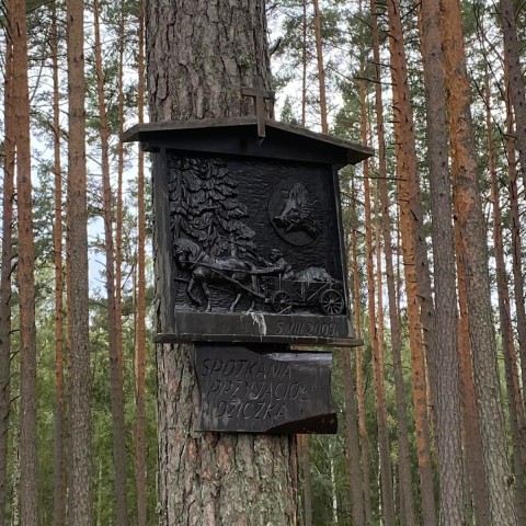 Powiększ obraz: 
